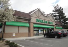 dollar tree franchise